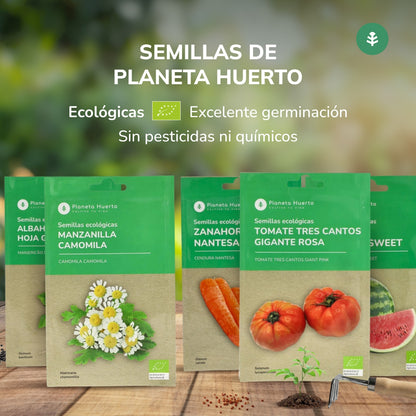 Semillas de Manzanilla camomila ecológicas Planeta Huerto