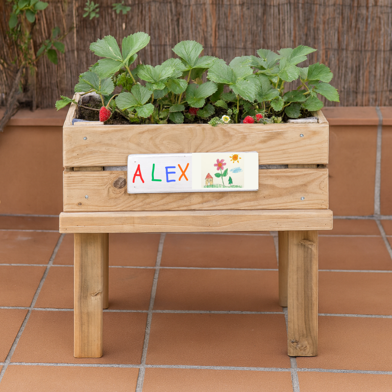 Mesa De Cultivo Kumi Profunda 20cm Vidahuerto Infantil 60x40x55 Cm._1