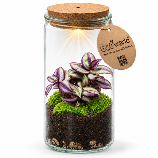 Mini Terrario De Plantas Ø11 Cm - Con Luz Led - Ecosistema Cerrado En Cristal_0
