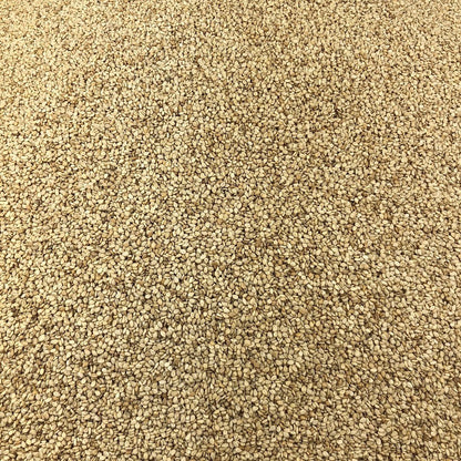 Semillas De Sésamo Bio Granel 0,5 Kg_2