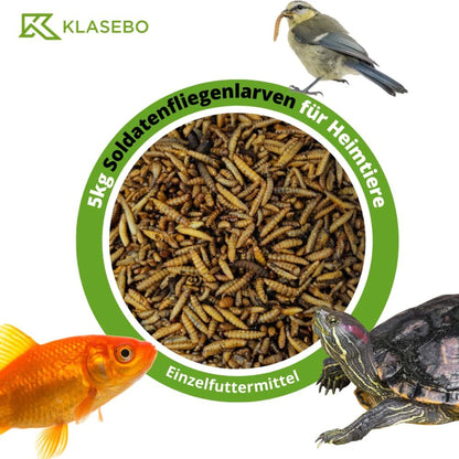 Larvas De Mosca Soldado 5kg, Hermetia Illucens Entera Y Seca, Alimento Para Aves Insectívoras_0