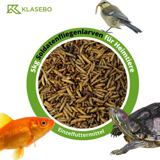 Larvas De Mosca Soldado 5kg, Hermetia Illucens Entera Y Seca, Alimento Para Aves Insectívoras_0