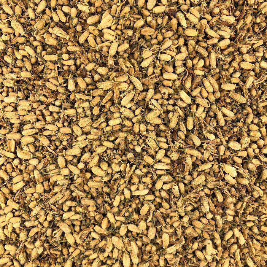 Botón Naranja Granel Ecológico 0,05 Kg_0