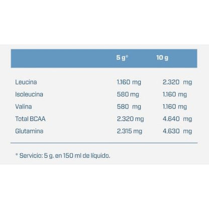 Bcaa + Glutamine 500 Gr_1