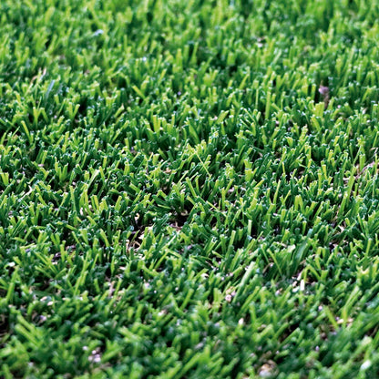 Césped Denia Xtra S30 - Aspecto Natural Y Alta Recuperación - 2x10 M - Multicolor_0