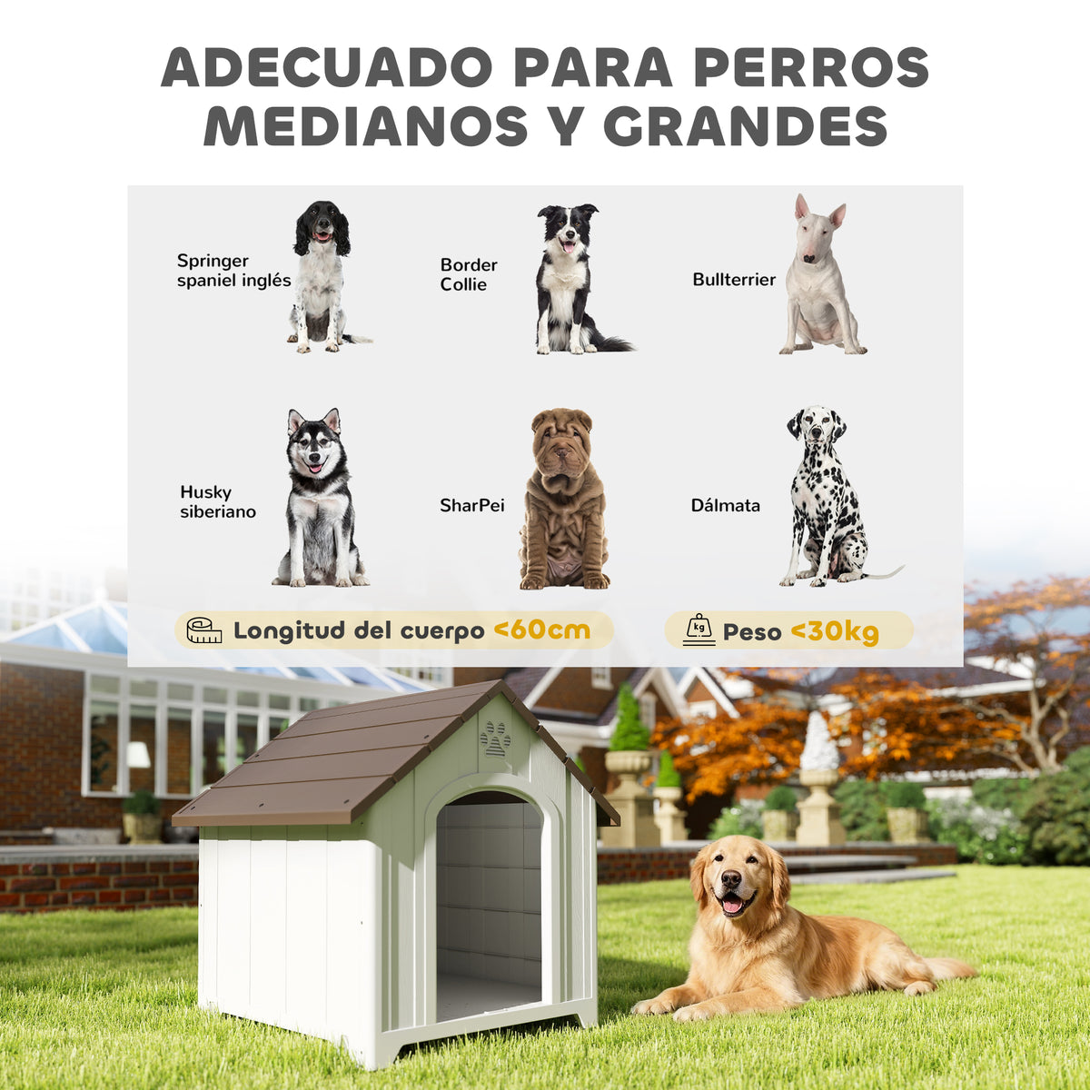 Pawhut Caseta Para Perros Grandes Exterior De Plástico Impermeable Marrón Oscuro_4