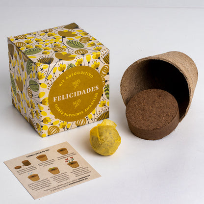 Díselo con Flores "Felicidades" Kit Autocultivo Flores Silvestres Amarillas - Resetea_1