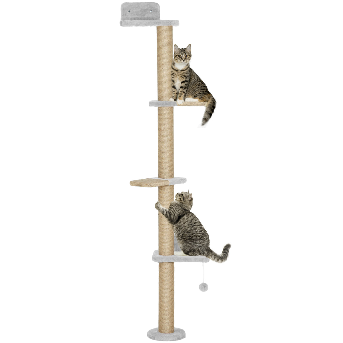 Pawhut Árbol Para Gatos De Pared De 5 Niveles 48x21x180 Cm Gris Claro_0