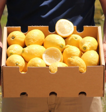 Limones De Temporada Directos Del Árbol Tropitop 9kg_1