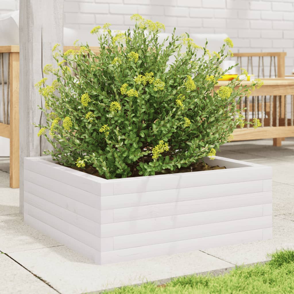 Jardinera De Madera Maciza De Pino Blanca 60x60x23 Cm_2
