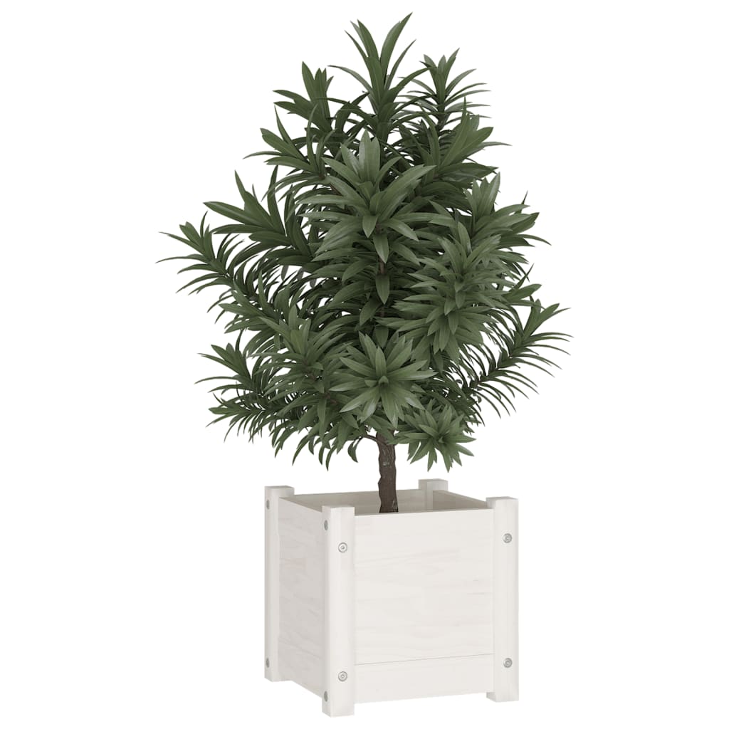 Jardinera De Madera Maciza De Pino Blanco 31x31x31 Cm_2