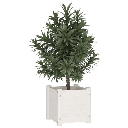 Jardinera De Madera Maciza De Pino Blanco 31x31x31 Cm_2