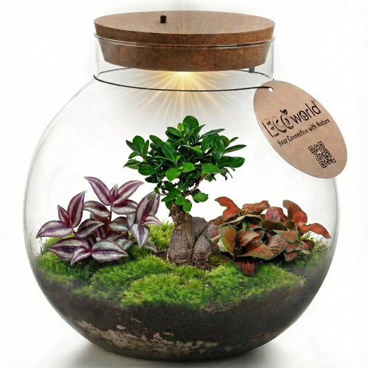 Bonsái Terrario Ecosistema 'biodome' - Ø25 Cm_0