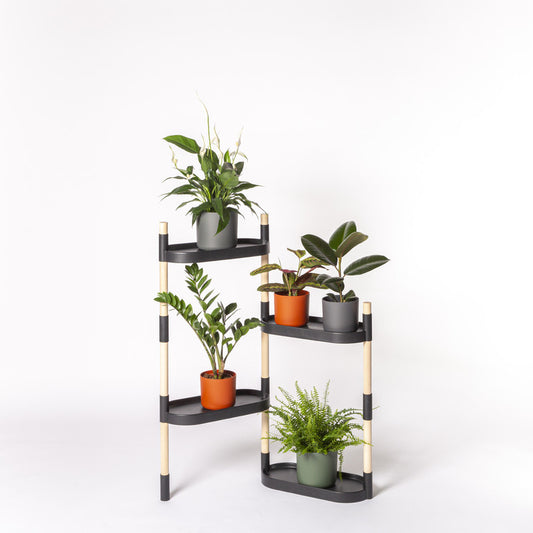 Soporte Modular Citysens De 4 Bandejas Negro, Con 2 Plantas De Regalo_0