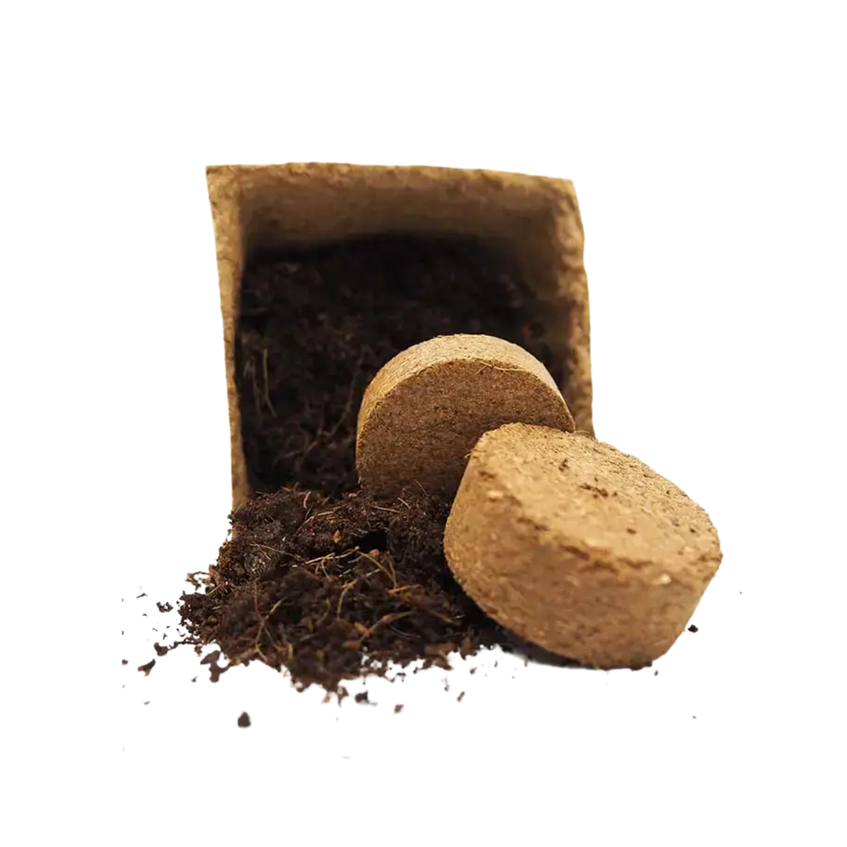 Kit De Cultivo De Berenjena Larga Negra Grow Me – Huerto Urbano Ecológico_2