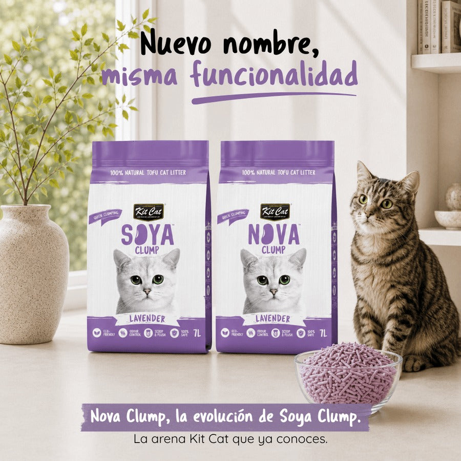 Pack 6 Kit Cat Arena Eco Nova Clump - Lavender 7 L Arena para gatos - Floral Suave y Relajante