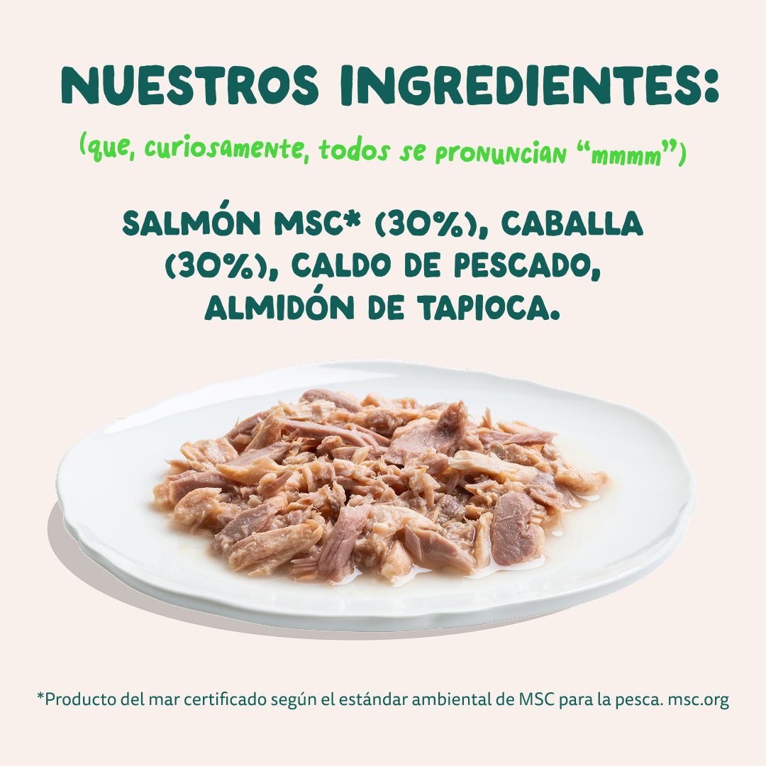 Filetes de salmón y caballa para gatos Edgard & Cooper 70 g