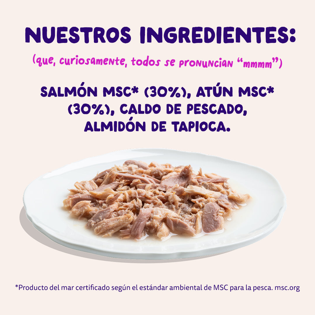 Filetes de salmón y atún para gatos Edgard & Cooper 70 g