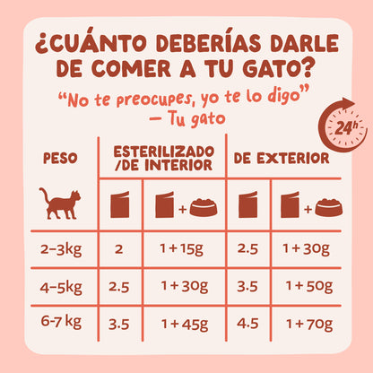 Sobre de Comida Húmeda Trucha &amp; Pollo en Salsa para Gatos Edgard &amp; Cooper 85 g