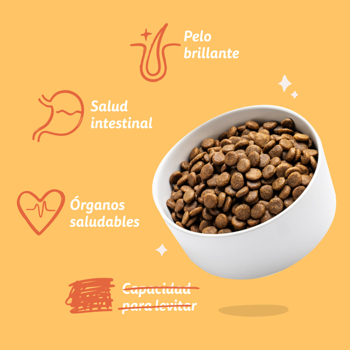 Pienso para perros Pollo de corral Edgard & Cooper 1 kg