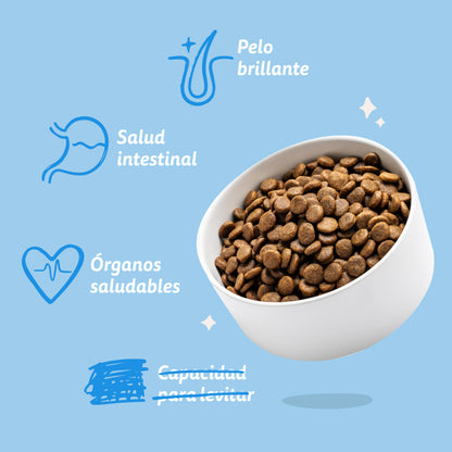 Pienso para perros Salmón Noruego Edgard &amp; Cooper 7 kg