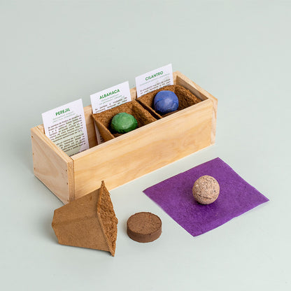 Mini Huerto Hierbas Aromáticas Perejil, Albahaca y Cilantro | Kit Fácil - Resetea_1