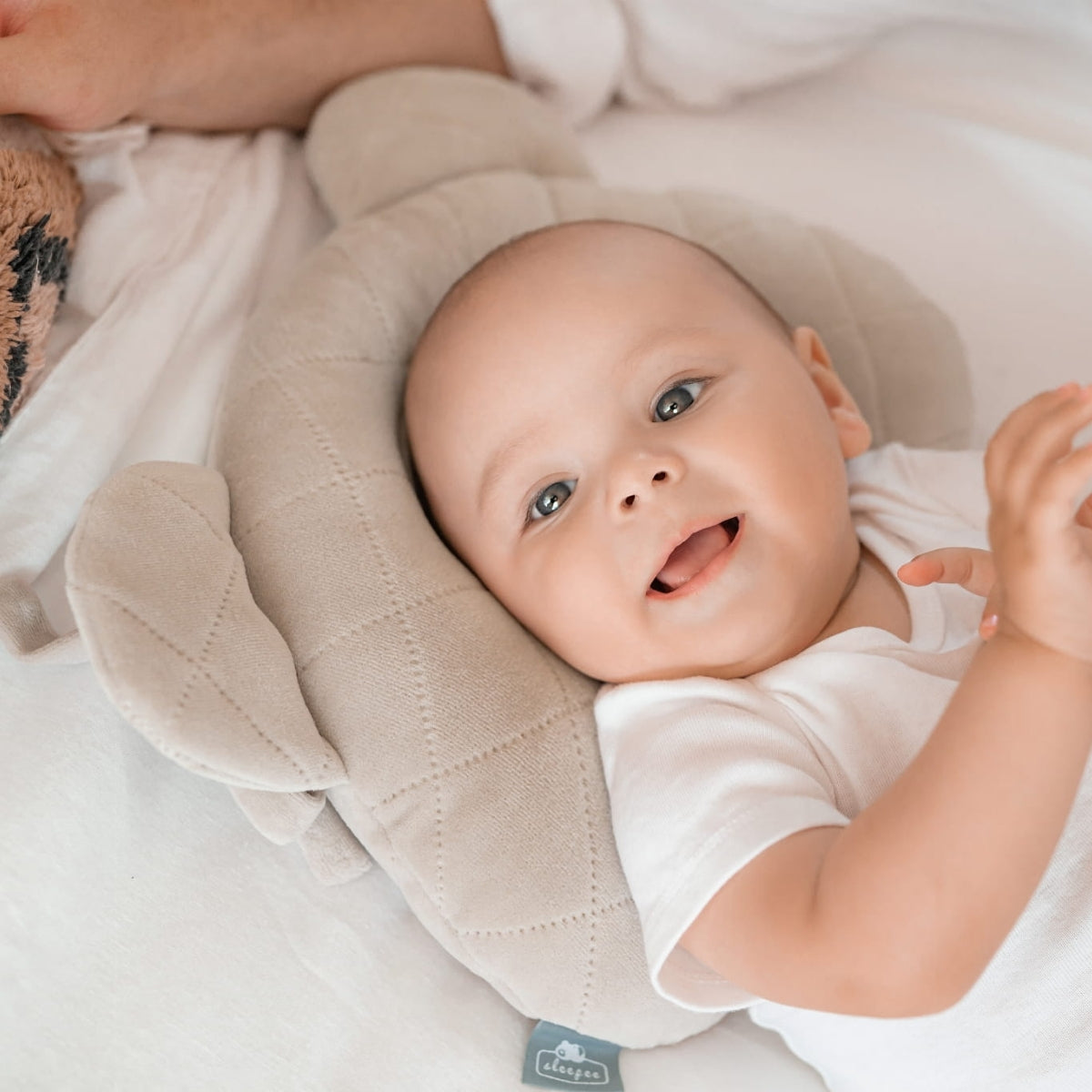 Almohada Cojin Plagiocefalia Bebés Royal Baby Sand_2