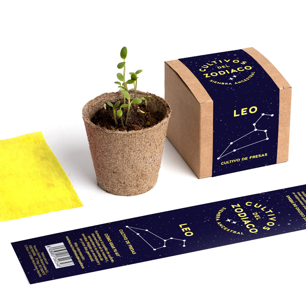 Cultivos del Zodiaco – Leo, Kit de Cultivo con Semillas de Fresa - Resetea_4