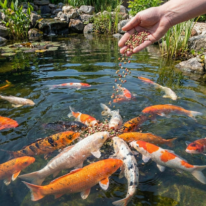 Aqua Bites Alimento Para Peces 5 L_2