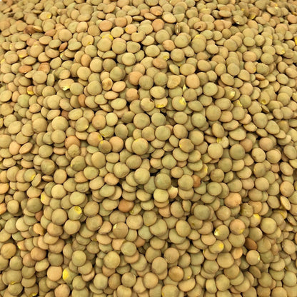 Lenteja Rubia Ecológica Granel 0,25 Kg_2