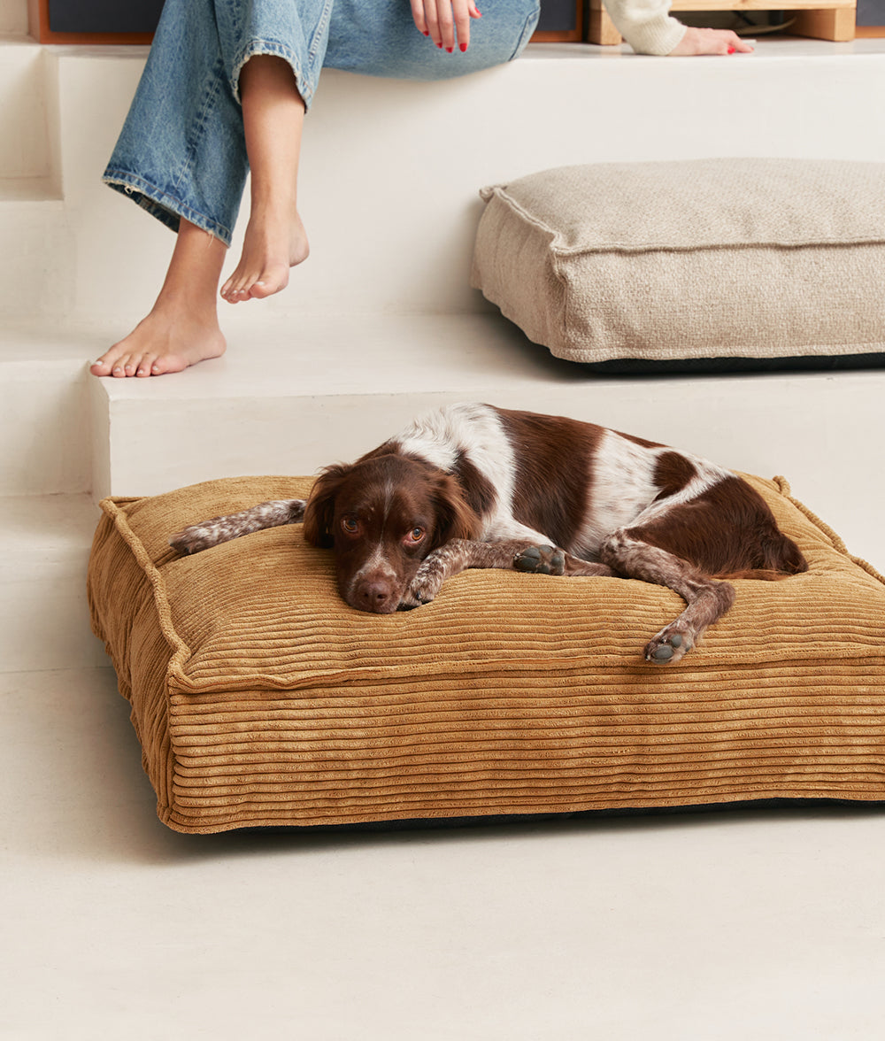 Cafide Cama De Material Reciclado Para Perro Con Tejido De Pana Mostaza. Modelo Cuadra._1
