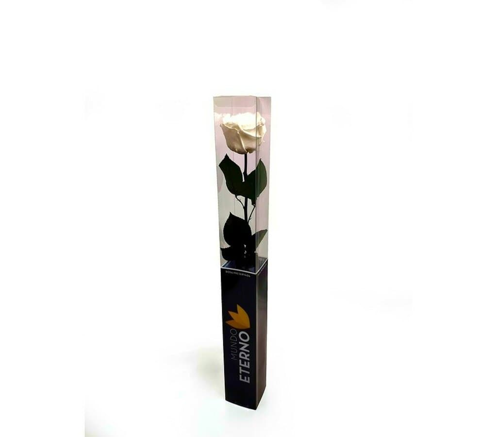 Mundo Eterno Rosa Preservada Blanca 25cm_1
