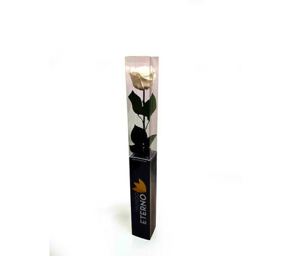 Mundo Eterno Rosa Preservada Blanca 25cm_1