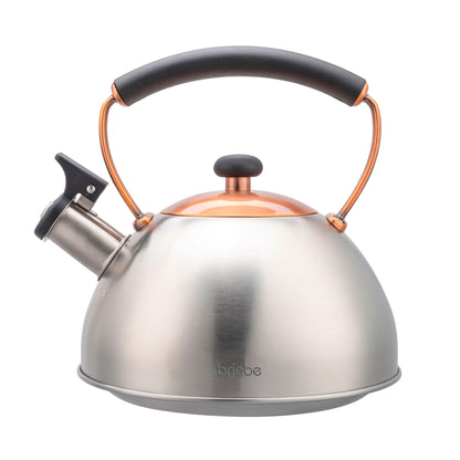 Briebe Tetera Con Silbato, Hervidor De Agua 2,3l, Inducción, Acero Inox, Vintage, Mango Cool Touch, I-bronze_0