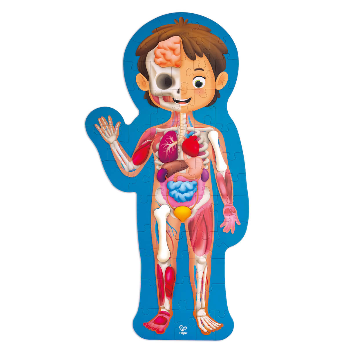 Puzzle 60pzas Human Body Hape_1