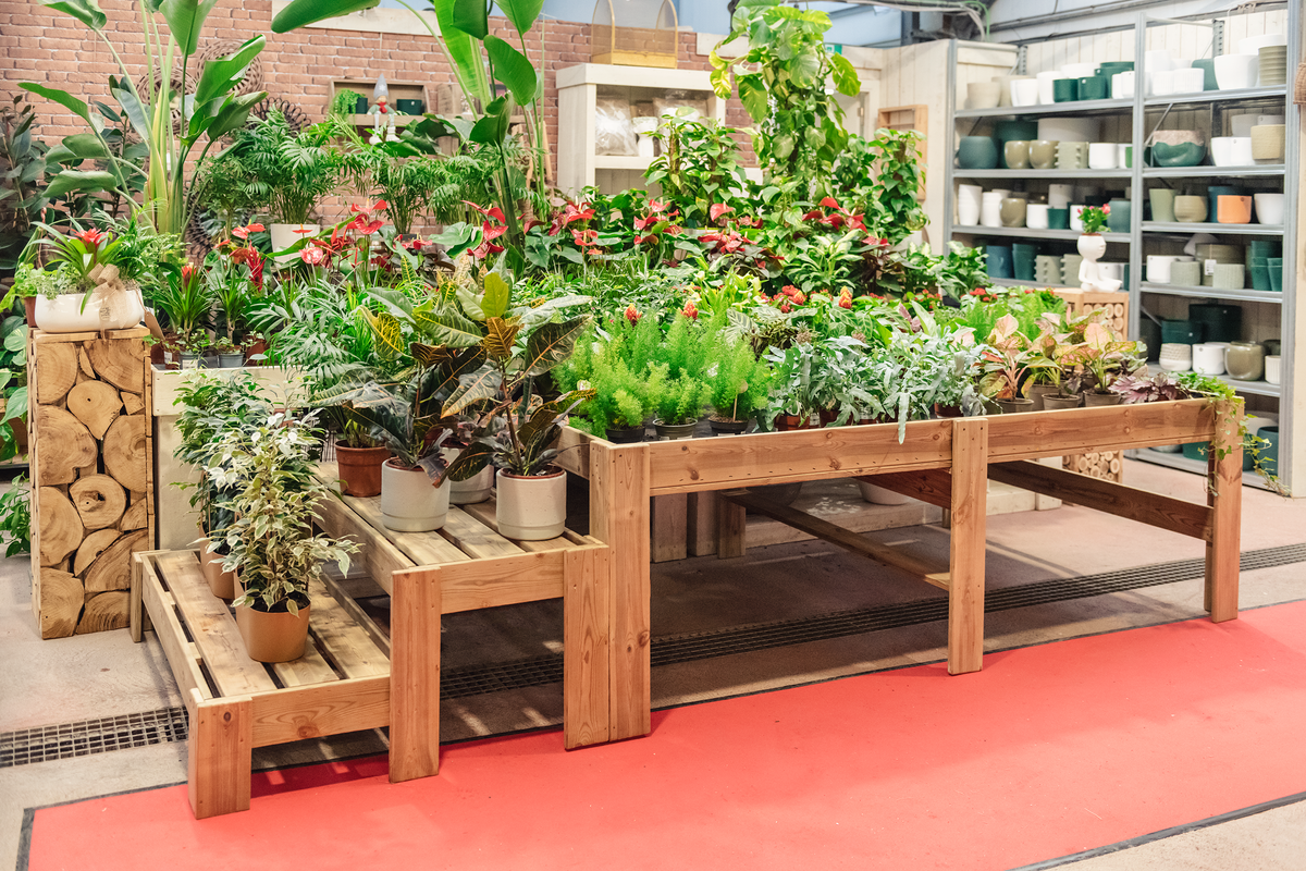 Expositor Escalera De Madera Podium Hortalia_1