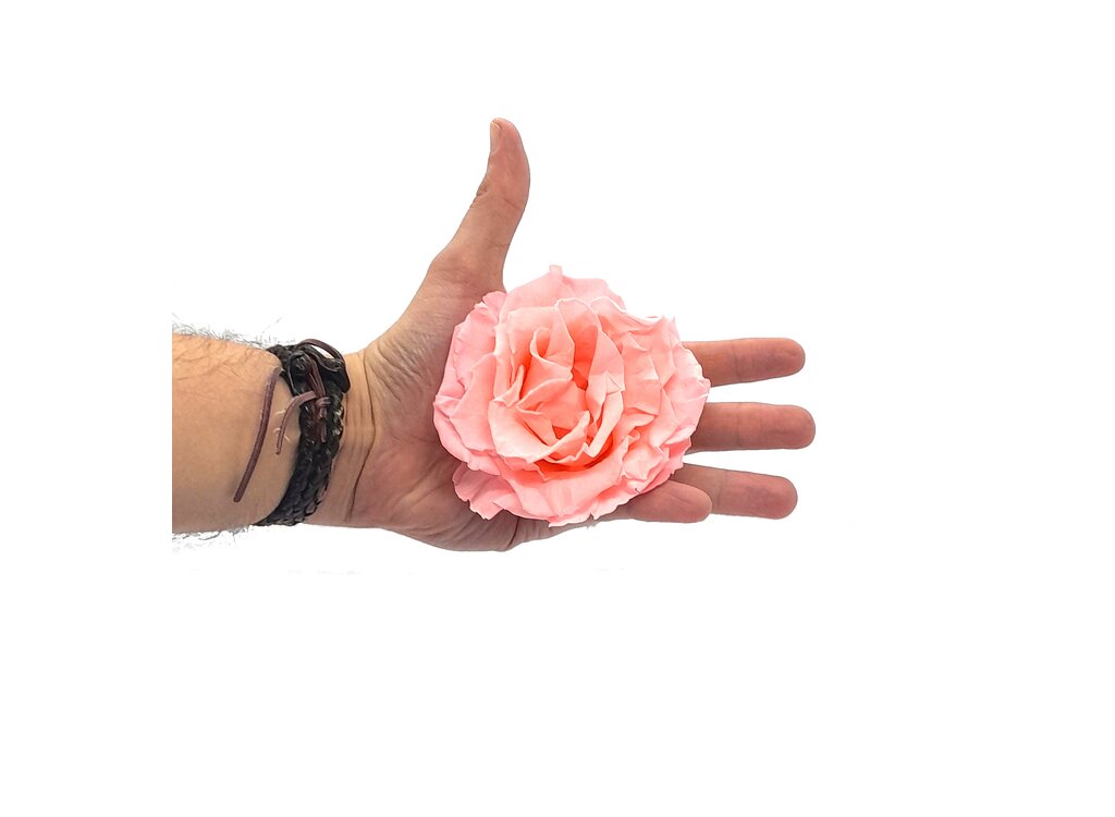 Mundo Eterno Rosa Preservada Abierta Rosa 10cm_1