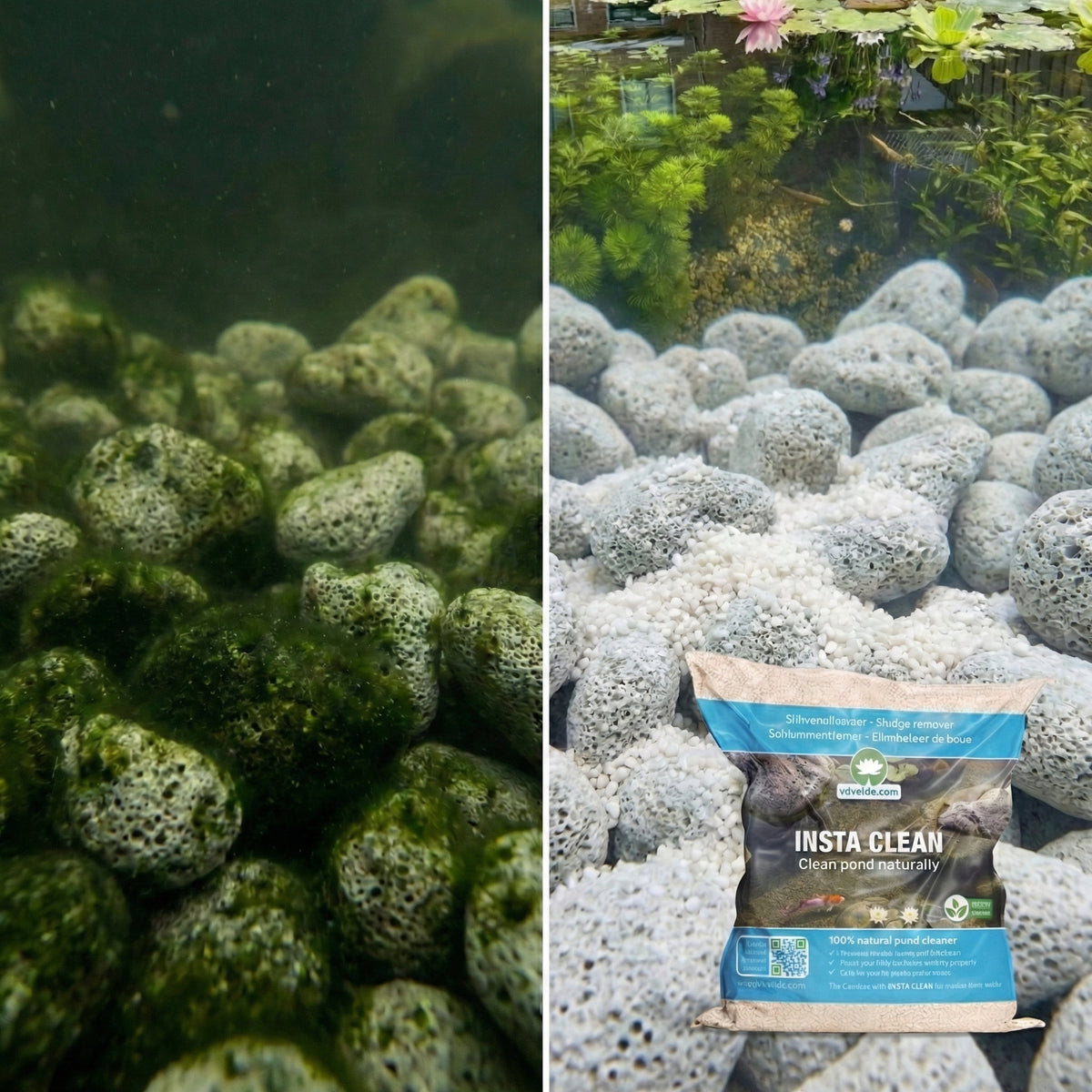 Insta Clean - Eliminador De Lodo Hasta 20.000l - Bacterias Naturales_2