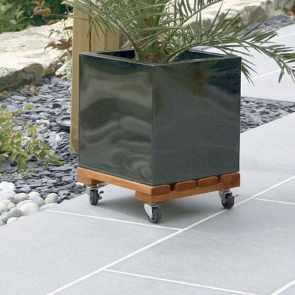 Soporte Con Ruedas Flora Roll 40x40 Cm Nortene_3