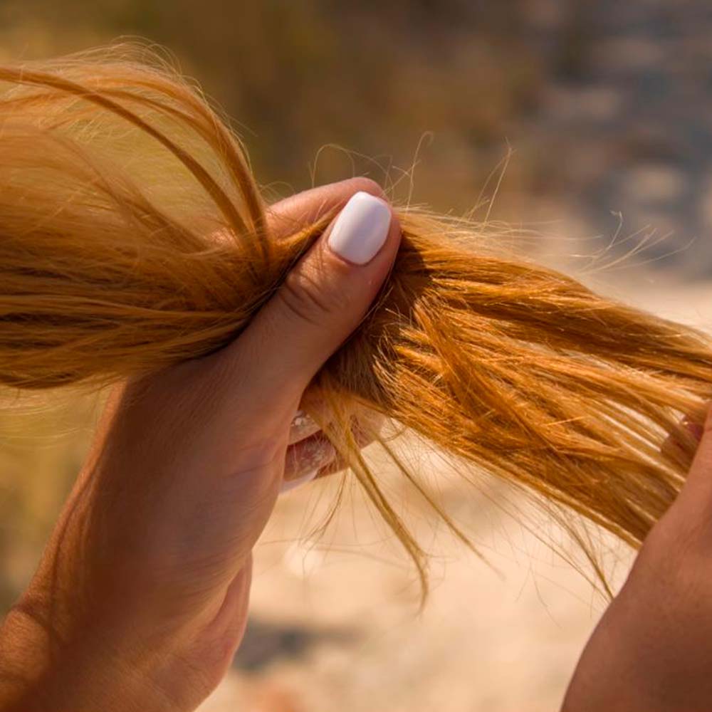 Champú Sólido Cabello Seco o quebradizo - 100% Natural - Previene Puntas Abiertas - Hecho En España - 1 ud._1