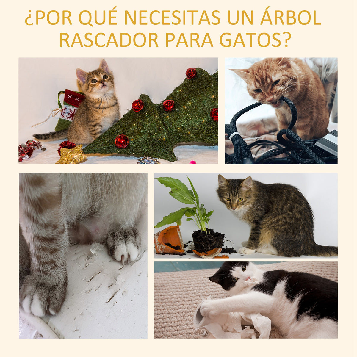 Pawhut Árbol Para Gatos De Suelo A Techo De 230-260 Cm Con Plataformas Marrón_3