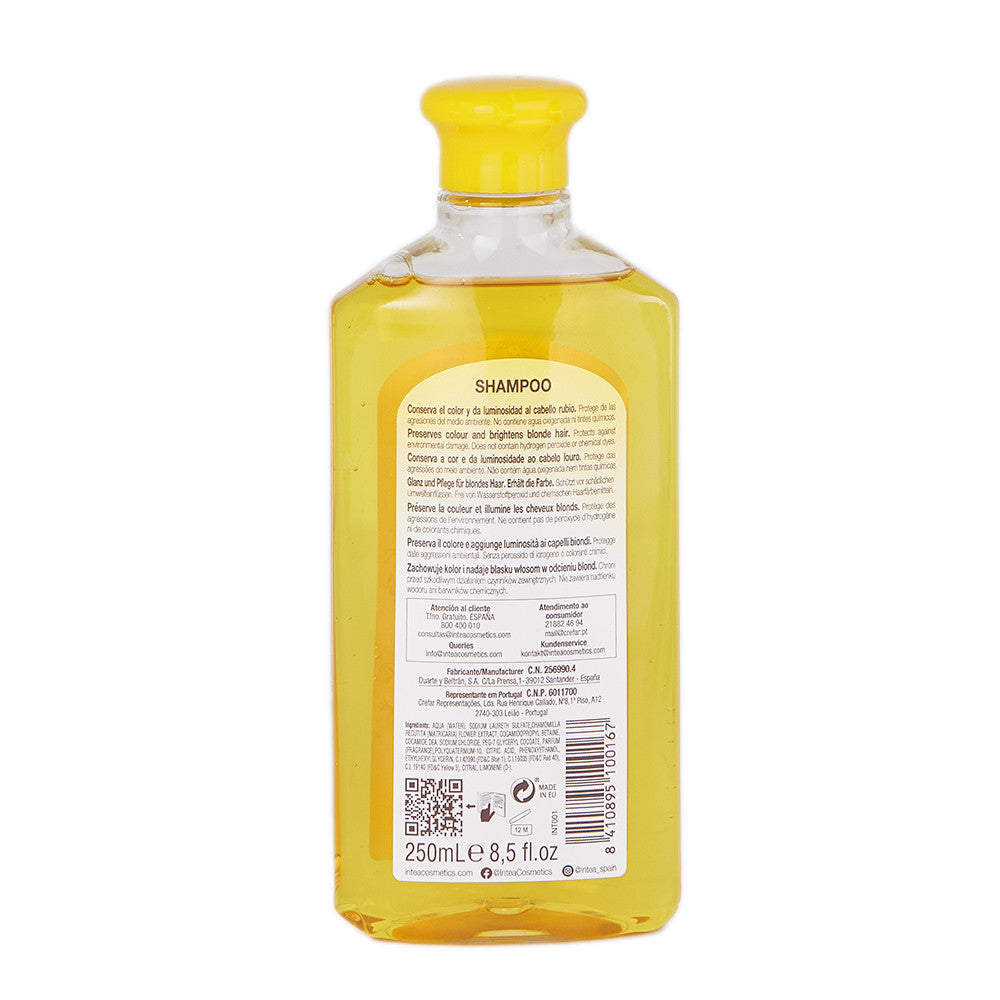 Champú para adultos Intea 250 ml