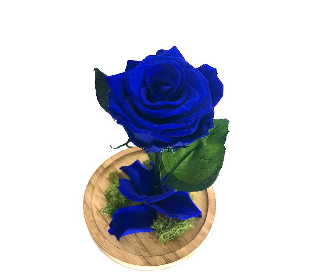 Mundo Eterno Rosa En Cúpula Azul Oscuro 12x20cm_0