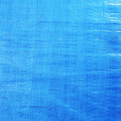 Toldo Rafia 2,90x5,90 Azul C/ Ollaos (3x6 M)_2