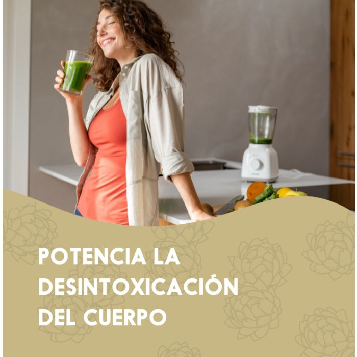 Detox Natur 45 días Hígado N2 Natural Nutrition 90 cápsulas