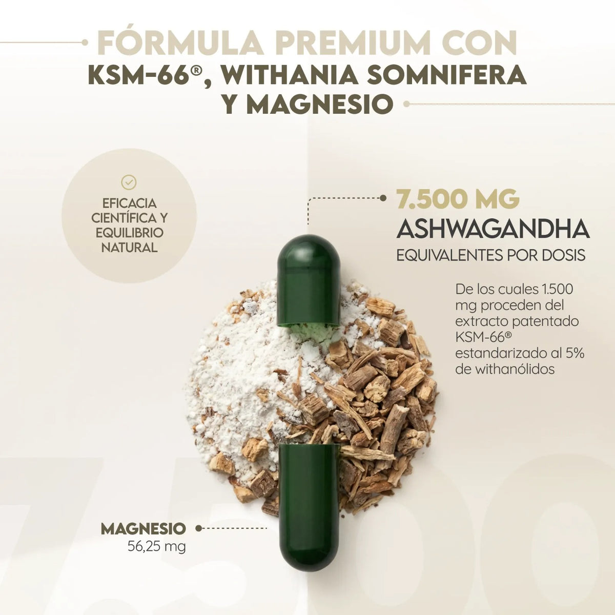Ashwagandha KSM-66 90 días Relajación N2 Natural Nutrition 180 cápsulas