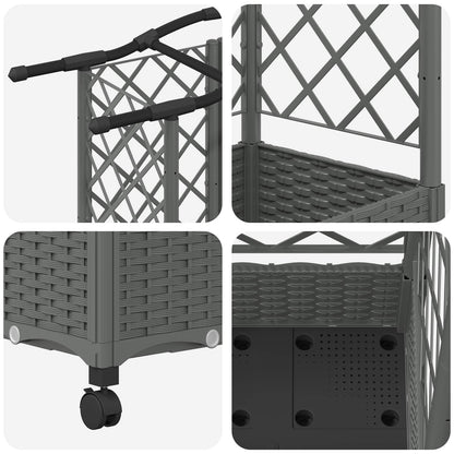 Cama Elevada Con Trellis Y Techo Gris Claro 163 X 40 X 129 Cm_5