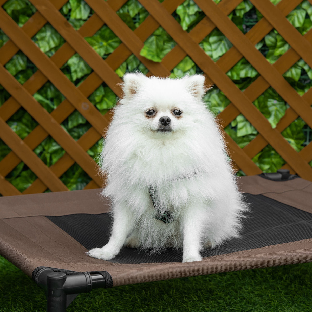 Pawhut Cama Elevada Perros Con Malla Transpirable Tela Oxford 76x61x18 Cm Marrón_3