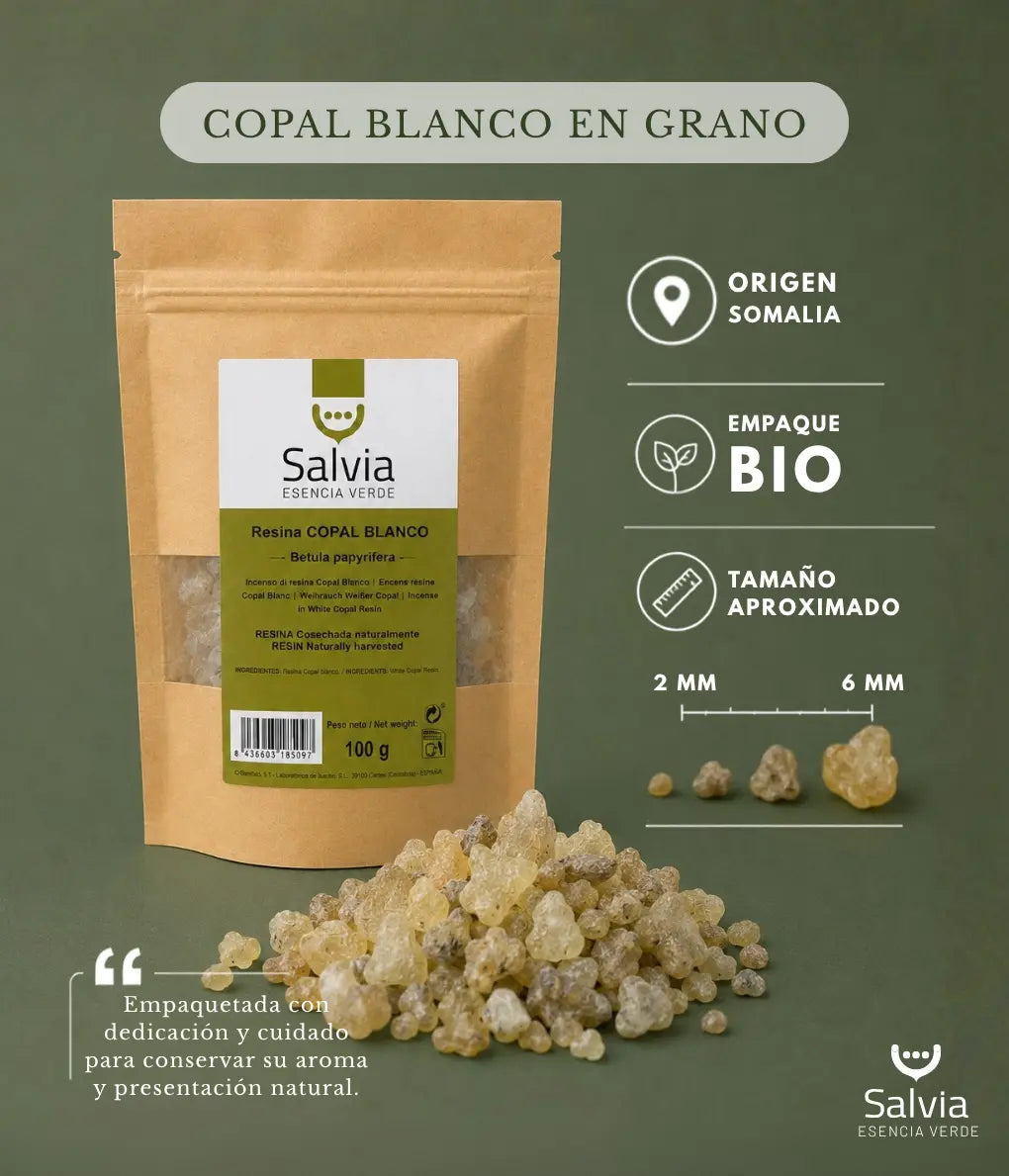 Salvia - Resina Copal Blanco, Granel | 50g_2