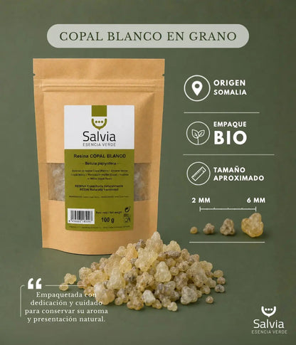 Salvia - Resina Copal Blanco, Granel | 50g_2